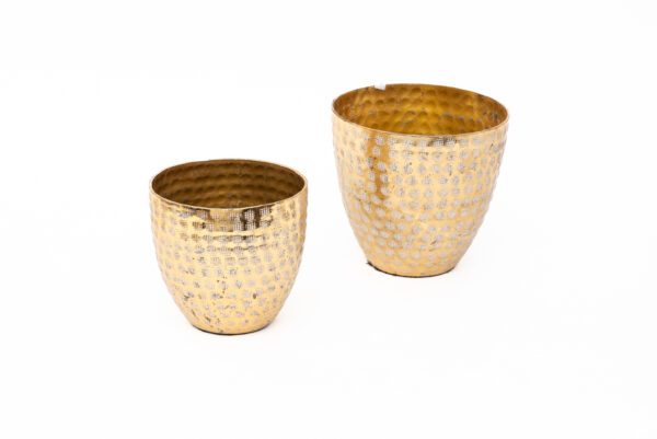 DOURADA - VASO BRANCO 13